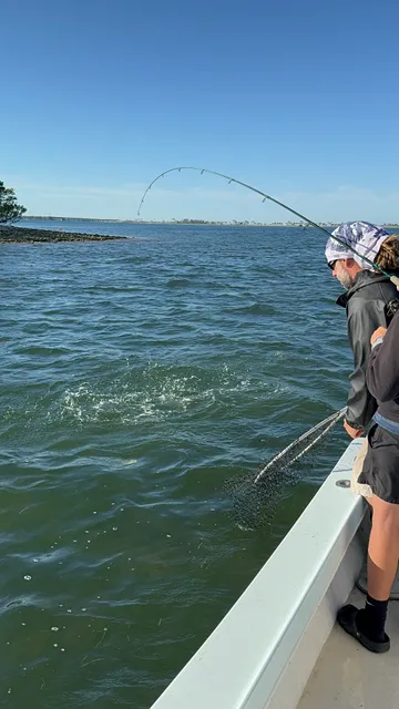 Frioud family charters