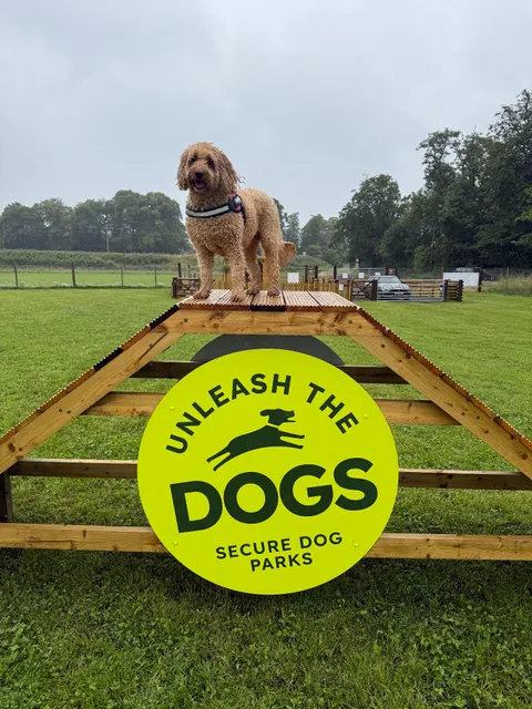 Unleash the Dogs - Gogarburn Dog Fields