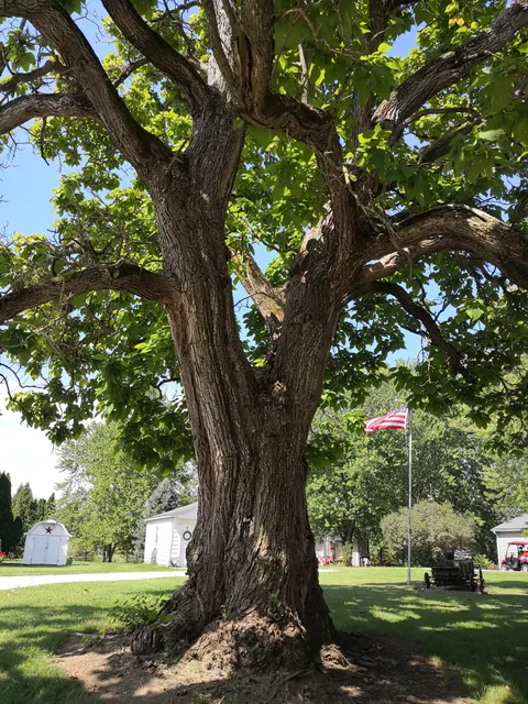 Frankton Softball Fields