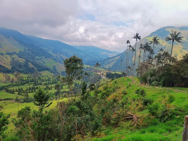 Cocora Valley Anticlockwise Trail Head