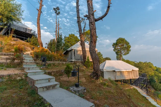 Seed at Queens Meadows Ranikhet