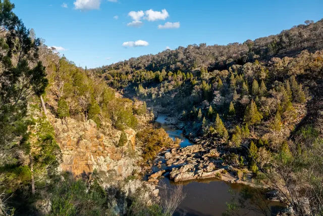 Molonglo Picnic Area (no playground)