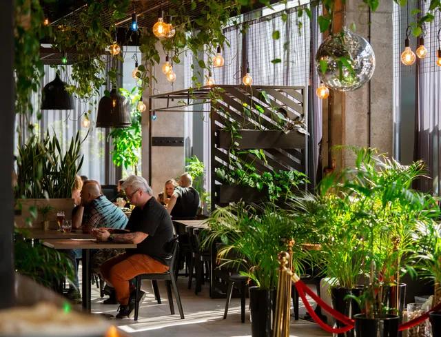 Współwinni Katowice