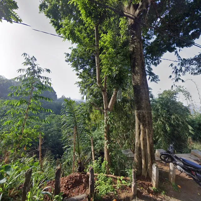 Aviator Coffee Camp, Dago Pakar