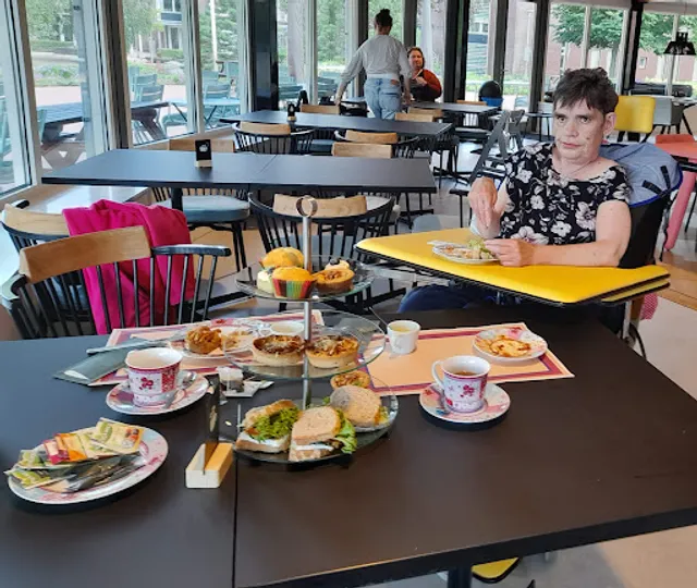 Park Paviljoen IPSE De Bruggen