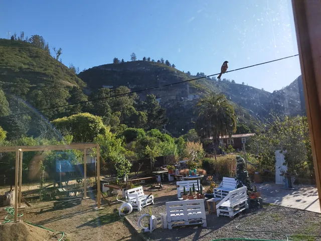 Cabañas Selva Negra