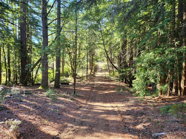 Teague Hill Trail Head