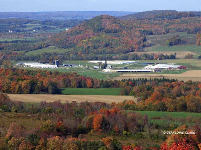 Cornell Teaching Dairy Barn