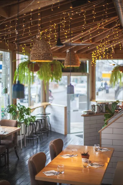 The Cottage Cheese - Urban Indian