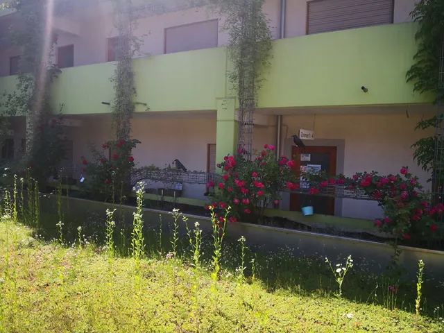 BoardingHouse Sinsheim