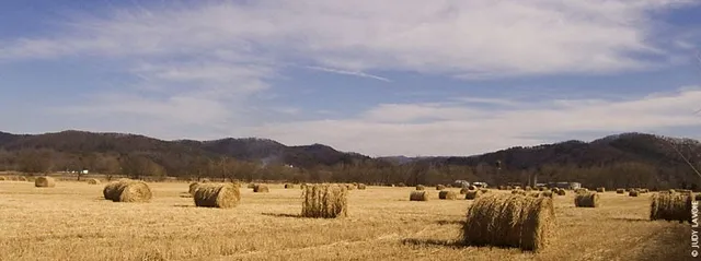Tellico Plains Community Center