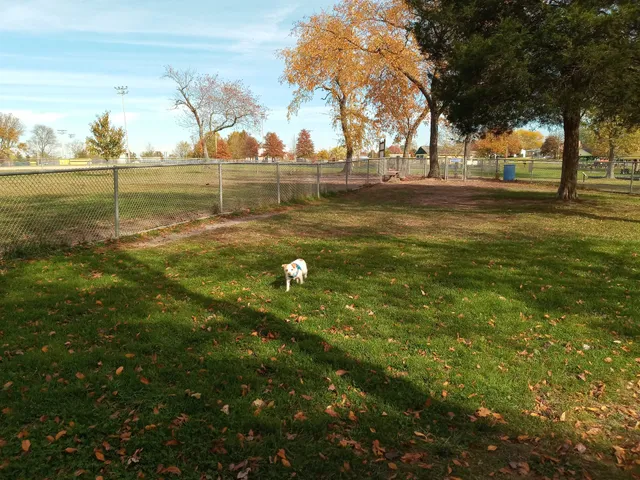 Dog Park