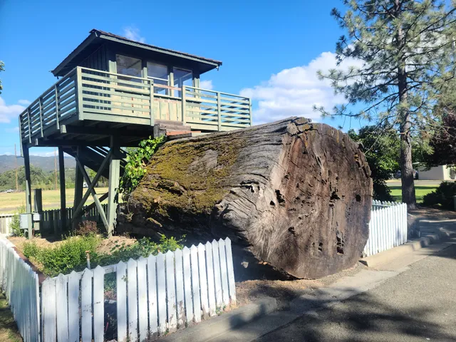 Fairgrounds-RV Park, Twelfth District