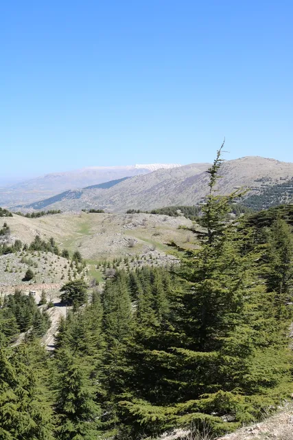 Shouf biosphere reserve/ Entrance to the Barouk Cedar forest
