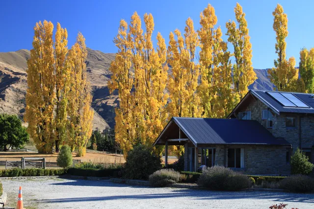 Golfcourse Road Chalets