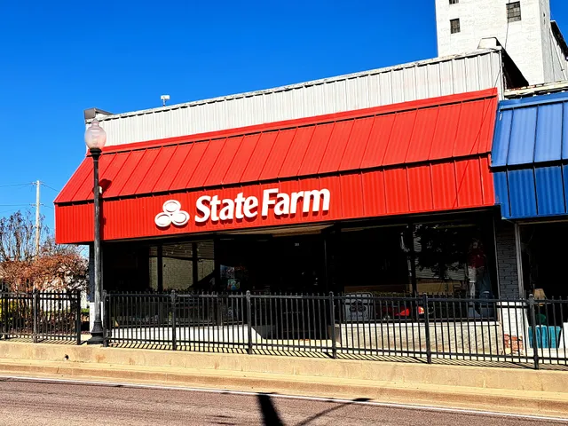 Terrin Thies - State Farm Insurance Agent