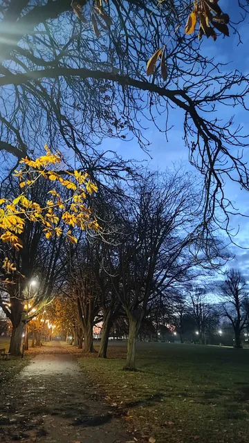 Parks Tennis Becket's Park