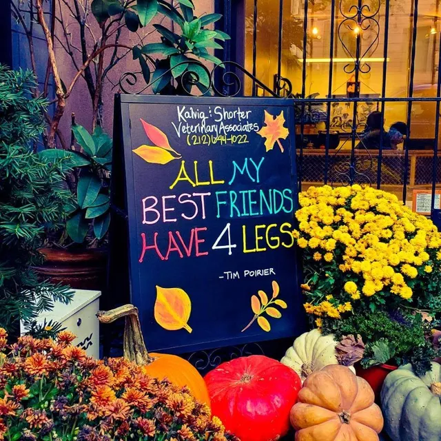 Kalvig and Shorter Veterinary Associates