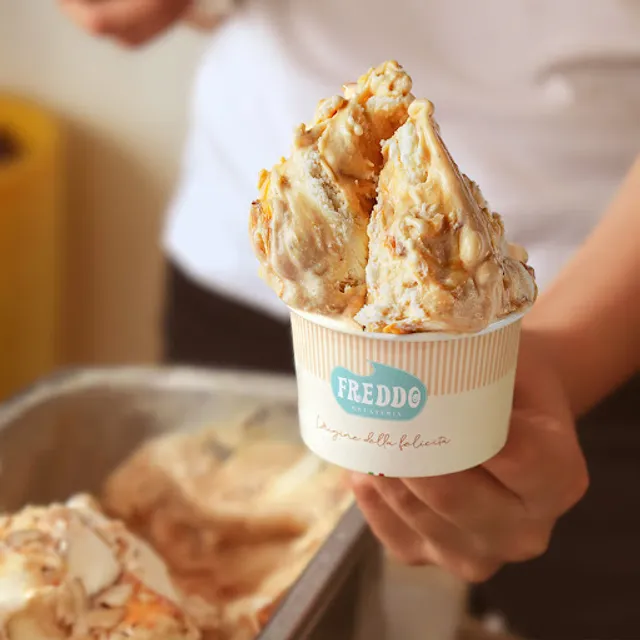 Freddo Gelateria - Balneário Shop