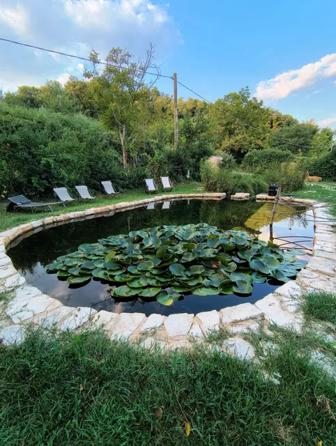 Agriturismo Terrapia