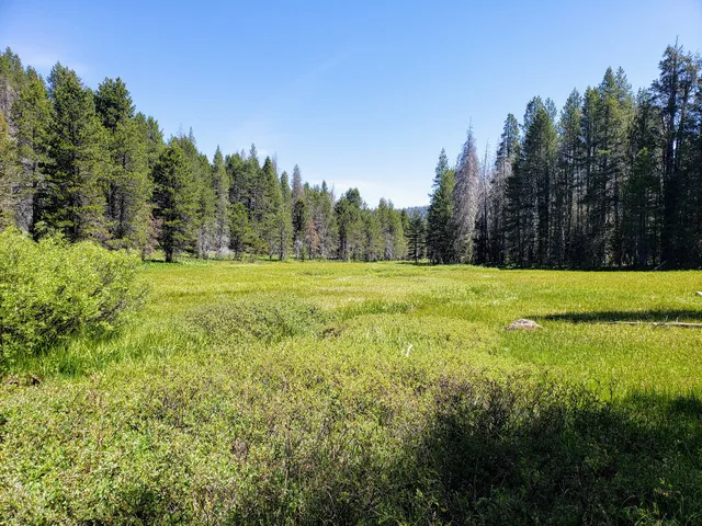 McGurk Meadow Trailhead