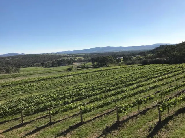 View Wine, By Brad and Stacey