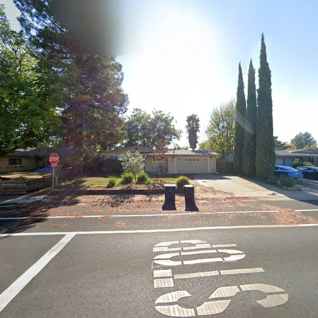 Unleashed Ice Cream for Dogs