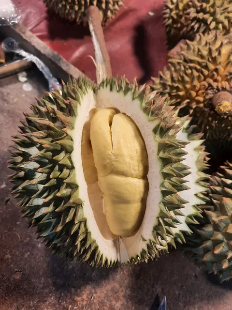 Durian Stand