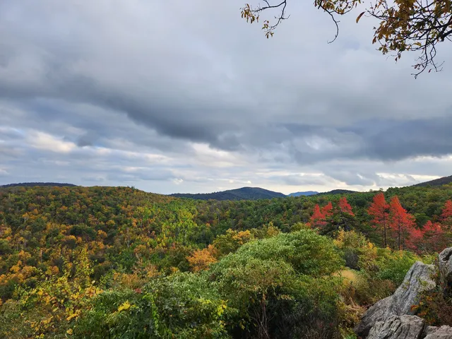 Shenandoah Skyline Dr. Parkway Southern Terminus