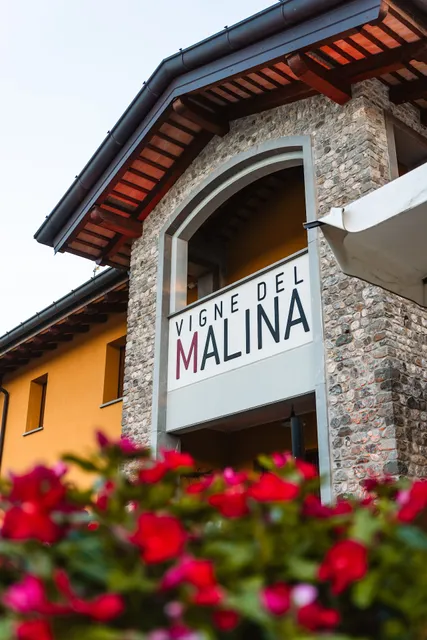 Vigne del Malina