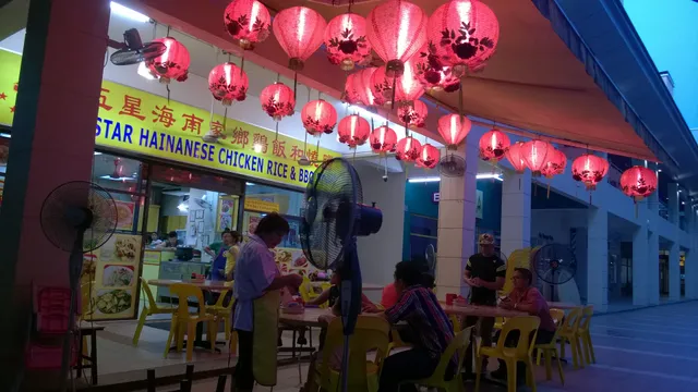 5 Star Hainanese Chicken Rice & BBQ Pork