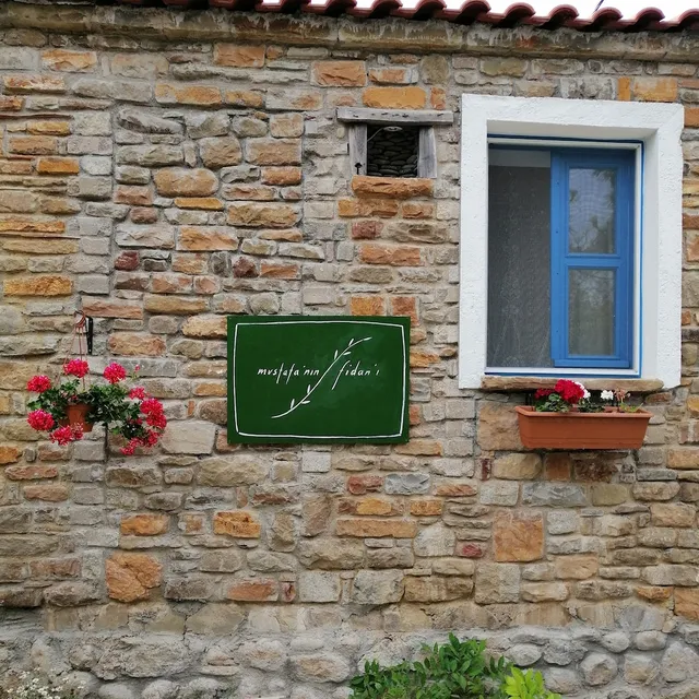 Mustafa'nın Fidan'ı