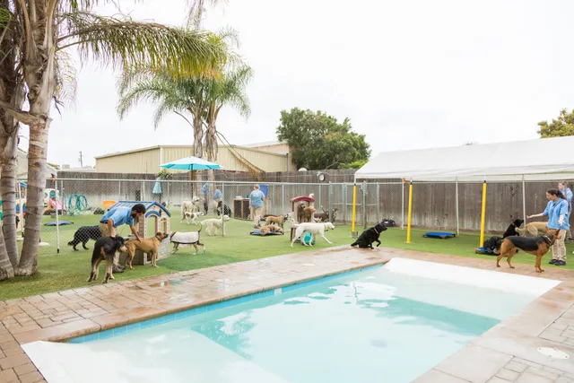 Dioji K-9 Resort & Athletic Club