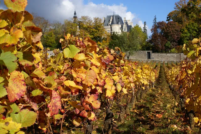 Domaine Le Clos des Mazières