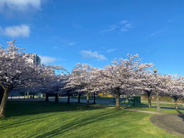 Stanley Park Bus Loop