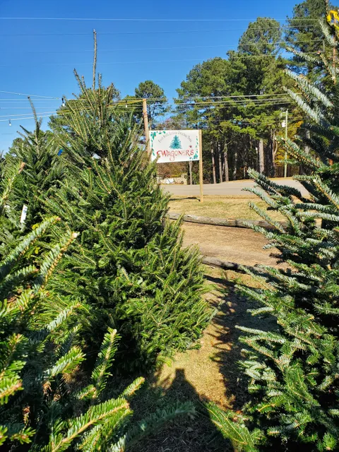Wagoner's Christmas Trees
