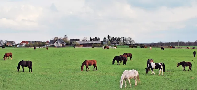 Ferienwohnung Bergblick in Xanten