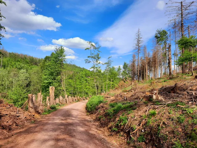 Ferienwohnung Petra Baacke