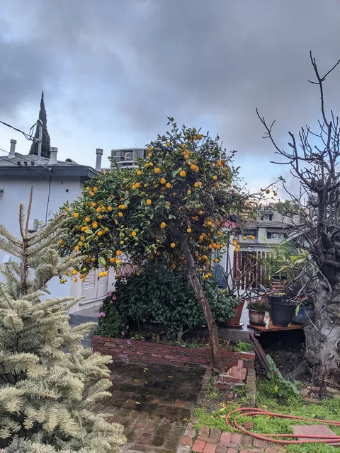 The Venice Beach Hostel