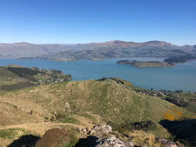 Witch Hill / Te Upoko o Kurī