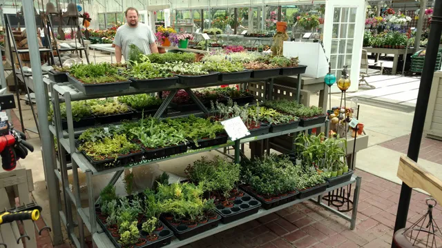 Heights Flowers-Plant Farm