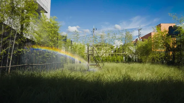 teamLab: Field of Wind, Rain and Sun