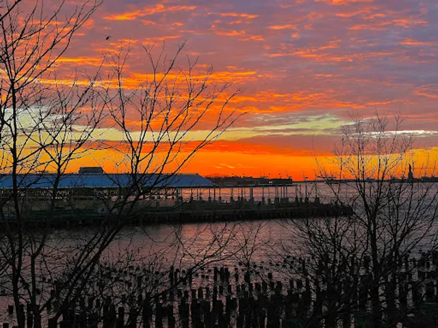 New York City Elevated View Point