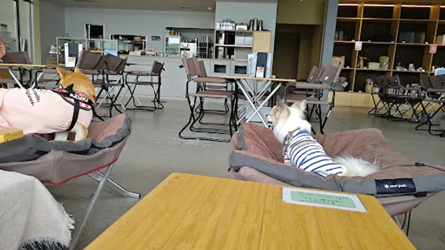 Snow Peak SHIRAKAWA KOGEN Campfield