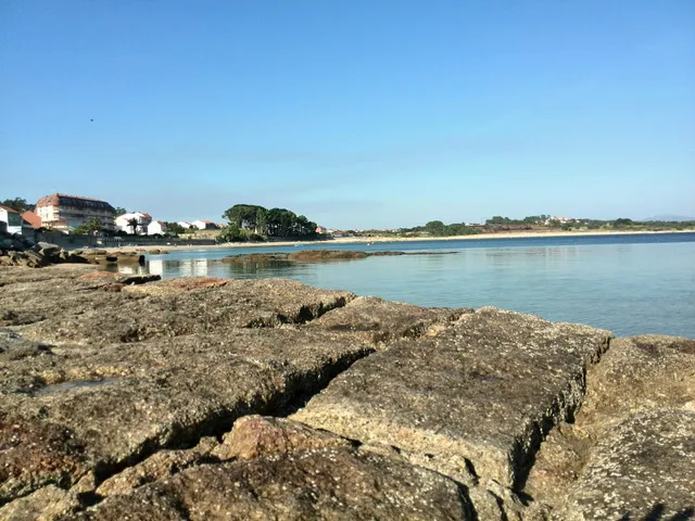 Apartamento Palmeira