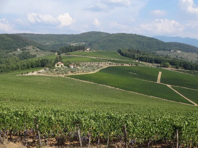 Marchesi Frescobaldi - Sede