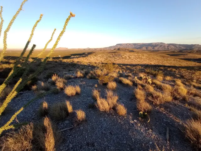 Terlingua Ranch Retreat