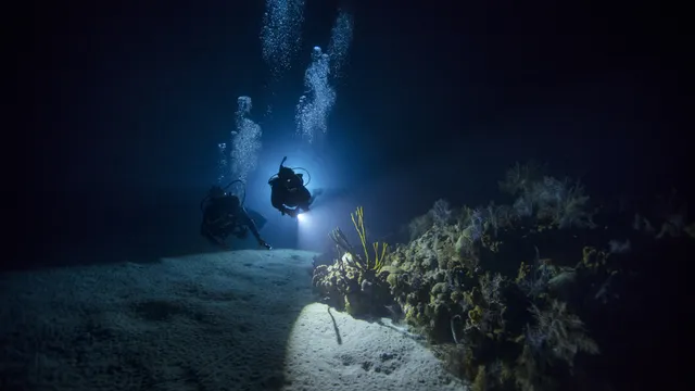 San Diego Scuba Pros