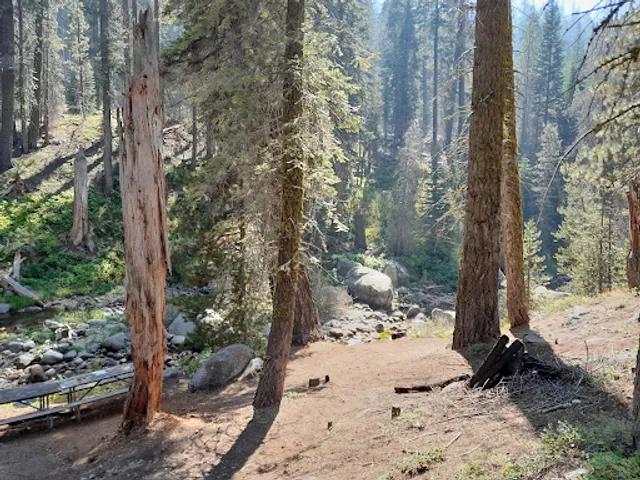 Lodgepole Picnic Area