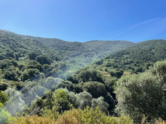 U Ruspu Chambre d'hôtes en Corse